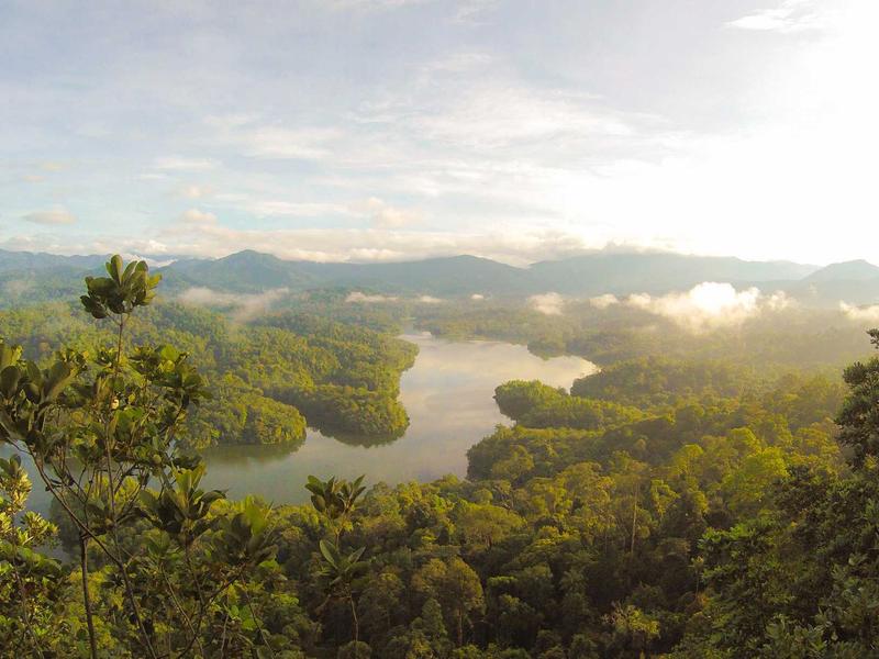 周末农夫<br>bcxjjkz.cn 阳台种菜指南